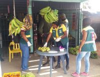 Diversas entidades tomaron medidas para evitar comercialización y consumos de peras que fueron desechadas en el botadero de Córdoba