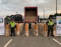 La Policía Fiscal y Aduanera aprehendió más de 15 toneladas de canela