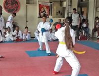 Buenaventura y Palmira realizaron intercambio de karate