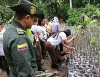 Material forestal es producido por estudiantes en Dagua