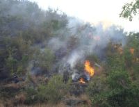 Monitorean temporada seca en el Valle del Cauca ante posibles incendios forestales