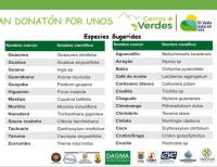 El jueves 26 de septiembre inicia la donatón de árboles para reforestar cerros de Cali y Dapa