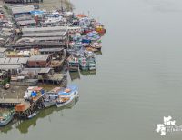 Este es el texto de la carta que le envió un grupo de congresistas al Gobierno nacional para que atienda el desabastecimiento en los pueblos de la costa pacífica colombiana