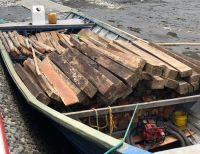 La Armada de Colombia incautó madera que fue extraída de forma ilegal del Parque Nacional Natural Sanquianga