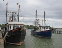 La Dimar dio un balance del movimiento de embarcaciones de cabotaje en Buenaventura hacia el pacífico desde el inicio de la Cuarentena Nacional