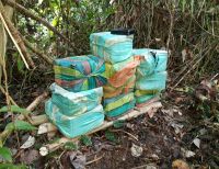 La Armada y el Ejército incautaron caleta de marihuana en el río Cajambre, zona rural de Buenaventura