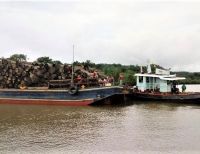 La Armada de Colombia incautó cargamento de madera en el Chocó