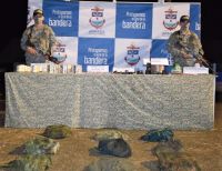 Importantes resultados dejan operativos de la Armada de Colombia contra el clan del golfo en Chocó