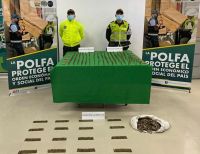 La POLFA incautó 1.600 cartuchos para fusil que habían sido enviados en encomienda a Buenaventura