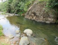 Los ríos Dagua, Anchicayá, Bitaco y Calima han mantenido sus niveles estables