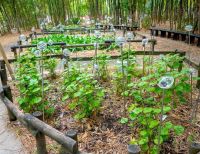 Emprendimientos de bioeconomía, biotecnología y tecnologías convergentes recibirán apoyo económico