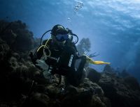 En el día internacional del buzo un experto colombiano revela las claves para convertirse en un profesional del buceo