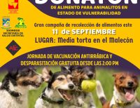 El sábado 11 de septiembre se realizará vacunación antirrábica y desparasitación gratuita para animales en Buenaventura