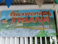 Para reactivar la economía, en noviembre se realizará nuevamente el Festival del Viche en Triana, zona rural de Buenaventura