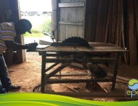 Desde el EPA Buenaventura se informa que a partir del 2022 el Libro de Operaciones Forestales se diligenciará de manera virtual