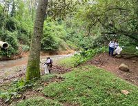 Se sembraron 6.000 alevinos de bocachico en el río Pance en Cali