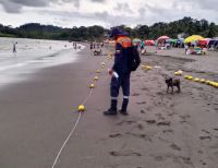 La Dimar asesoró técnicamente la instalación de 190 boyarines en Playa de Piangüita