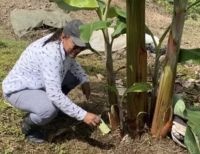 Reconocimiento a la tenacidad y aporte de la mujer en el campo del Valle del Cauca en el Día de la Mujer Rural