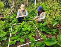 La CVC trabaja en la identificación de polinizadores en Cali, Yumbo, Jamundí y Buenaventura