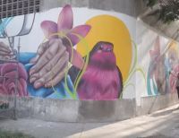 El barrio José Antonio Galán de Cali tiene el primer entorno seguro