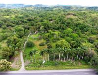 Guacharaca, coclí y mono nocturno, especies representativas del Bosque Seco Tropical en el Valle revela plan de manejo ambiental