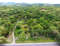 Guacharaca, coclí y mono nocturno, especies representativas del Bosque Seco Tropical en el Valle revela plan de manejo ambiental