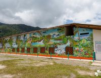 Pacífico de Agua Dulce: primera obra mural artística en zona rural de Buenaventura