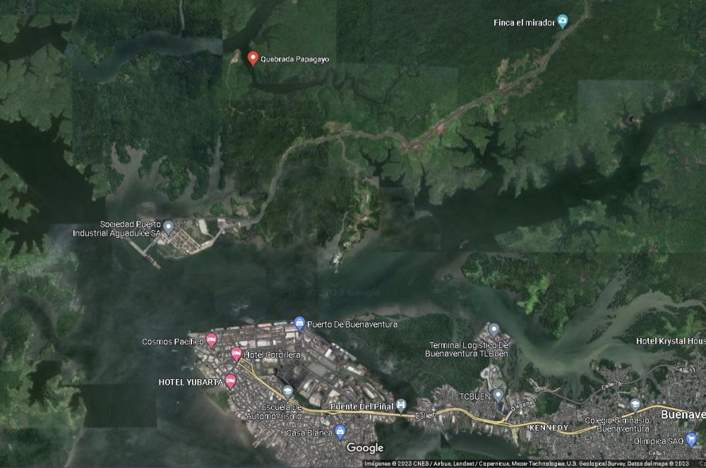 Inició el programa de restauración del ecosistema manglar en Papagayo, zona rural de Buenaventura