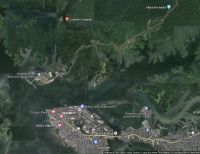 Inició el programa de restauración del ecosistema manglar en Papagayo, zona rural de Buenaventura