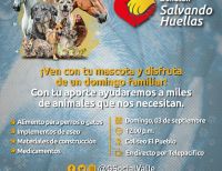 ‘Salvando Huellas’ vuelve en su cuarta edición para seguir con la ayuda a animales de calle y refugios