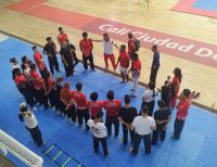 En la ruta a los Juegos Nacionales y Paranacionales, 2.247 atletas vallecaucanos buscan un cupo para representar al rojiblanco