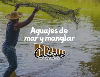 La agrupación bonaverense Cantares del Pacífico se prepara para los Latín Grammy 2023, Gobernación de Valle celebra nominación