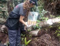 La Fuerza Pública ubicó un depósito ilegal con 300 artefactos explosivos en zona rural de Buenaventura