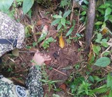 Autoridades destruyen 4 artefactos explosivos improvisados en el Bajo Calima, Buenaventura