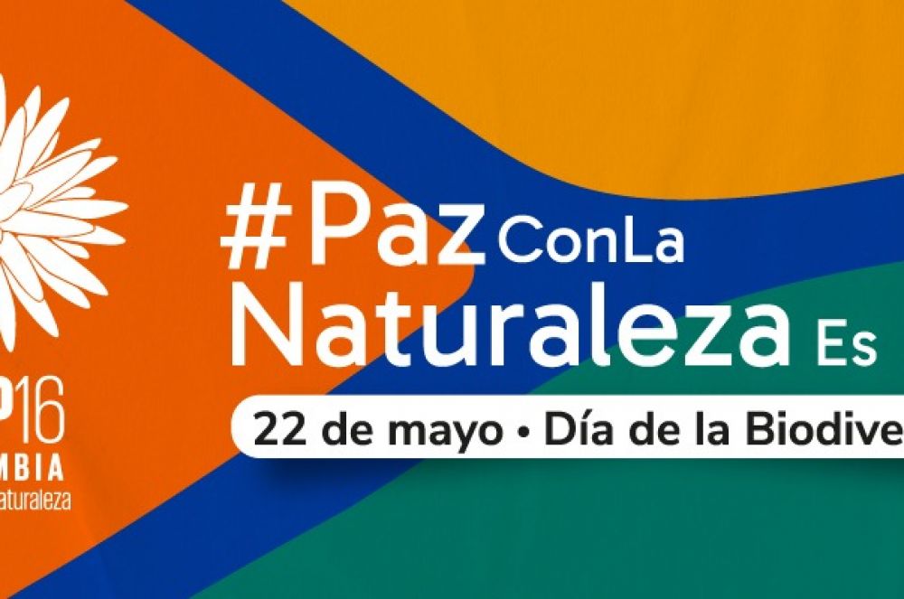 El País de la Belleza conmemora el Día de la Diversidad Biológica y celebra la COP de la gente, la COP de las regiones