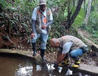 La Gobernación del Valle continúa sus acciones preventivas contra el vector del dengue