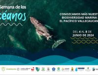 Se realizará la Semana de Los Océanos en Buenaventura