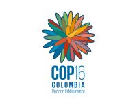 El Valle del Cauca declara la Alerta Naranja Hospitalaria por la COP16