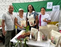 La Gobernación abrió la convocatoria Valle Café, se renovarán más de 7 millones de cafetos
