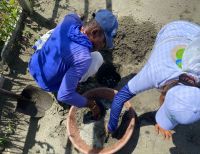 En Punta Bonita, zona del río Cajambre, comunidades de Buenaventura protegen y reconocen a las tortugas marinas