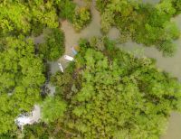 La Vereda Gamboa en Buenaventura: Nueva Área Protegida en el Valle del Cauca