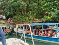 La CVC refuerza controles en sitios de interés de Buenaventura para proteger la flora y fauna