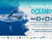 Buenaventura celebrará la riqueza de sus mares con la Semana de los Océanos 2025