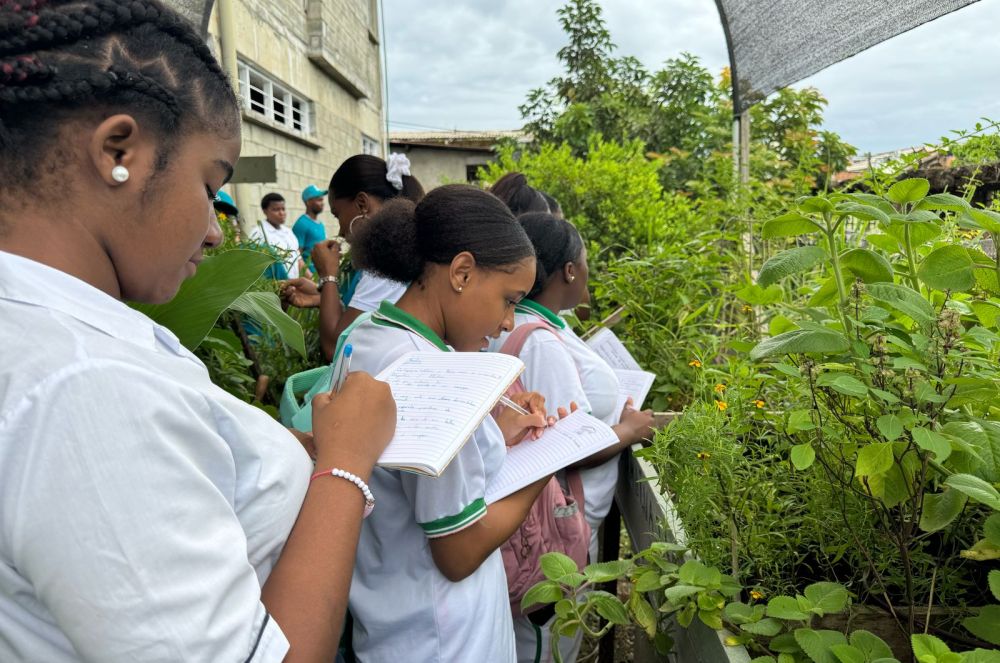 500 estudiantes de Buenaventura fortalecen la educación ambiental en sus instituciones