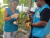 El EPA Buenaventura emite llamado preventivo por presencia de serpientes en temporada de lluvias
