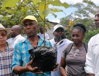 Alcaldía de Buenaventura y comunidad de la Comuna 12 avanzan en diagnóstico para proyecto Ecos Barrios de Paz