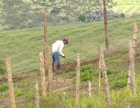 La Gobernadora del Valle pide priorizar a campesinos e indígenas del departamento en entrega de tierras