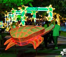 El Alumbrado navideño dinamiza la actividad comercial en el centro de Buenaventura