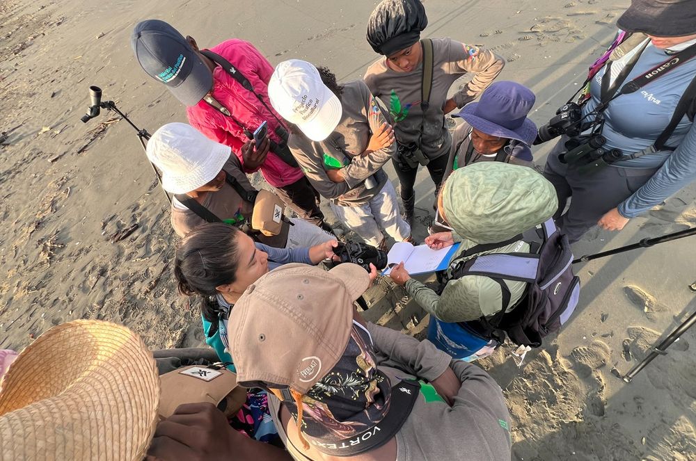 Buenaventura se suma a proyecto internacional de monitoreo de aves playeras migratorias