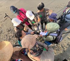 Buenaventura se suma a proyecto internacional de monitoreo de aves playeras migratorias